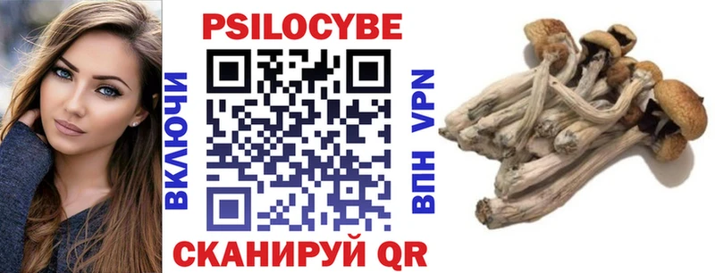ссылка на мегу ссылки  продажа наркотиков  Александровск-Сахалинский  Псилоцибиновые грибы GOLDEN TEACHER 